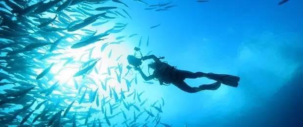 海底世界填颜色3